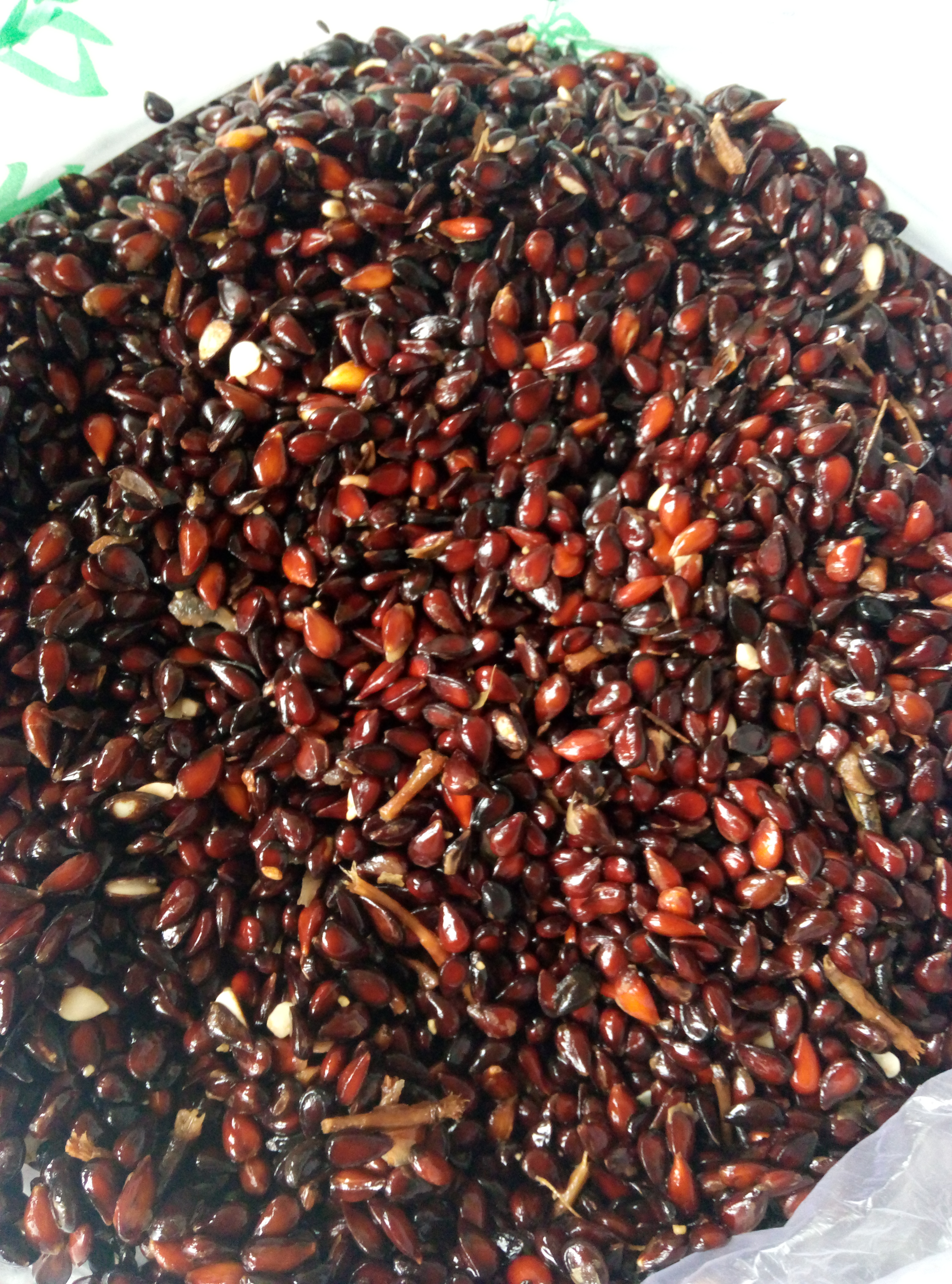 江西魯麗蘋果苗現(xiàn)挖現(xiàn)賣