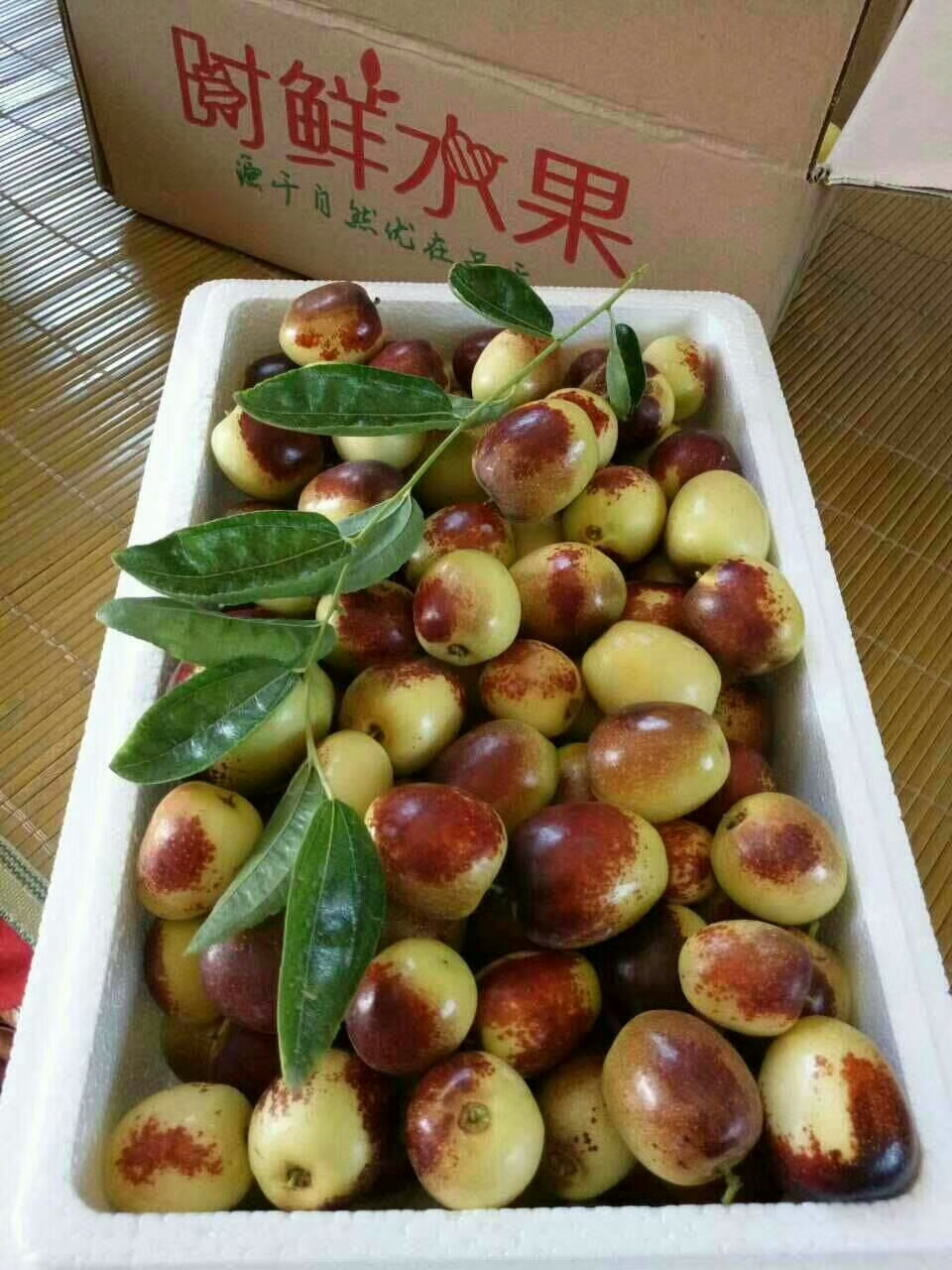 品種純冬棗苗棗樹苗基地品種