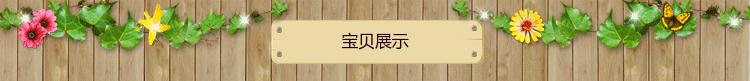 品種 梨樹苗|晚秋黃梨|晚秋黃梨苗|品種優(yōu)良