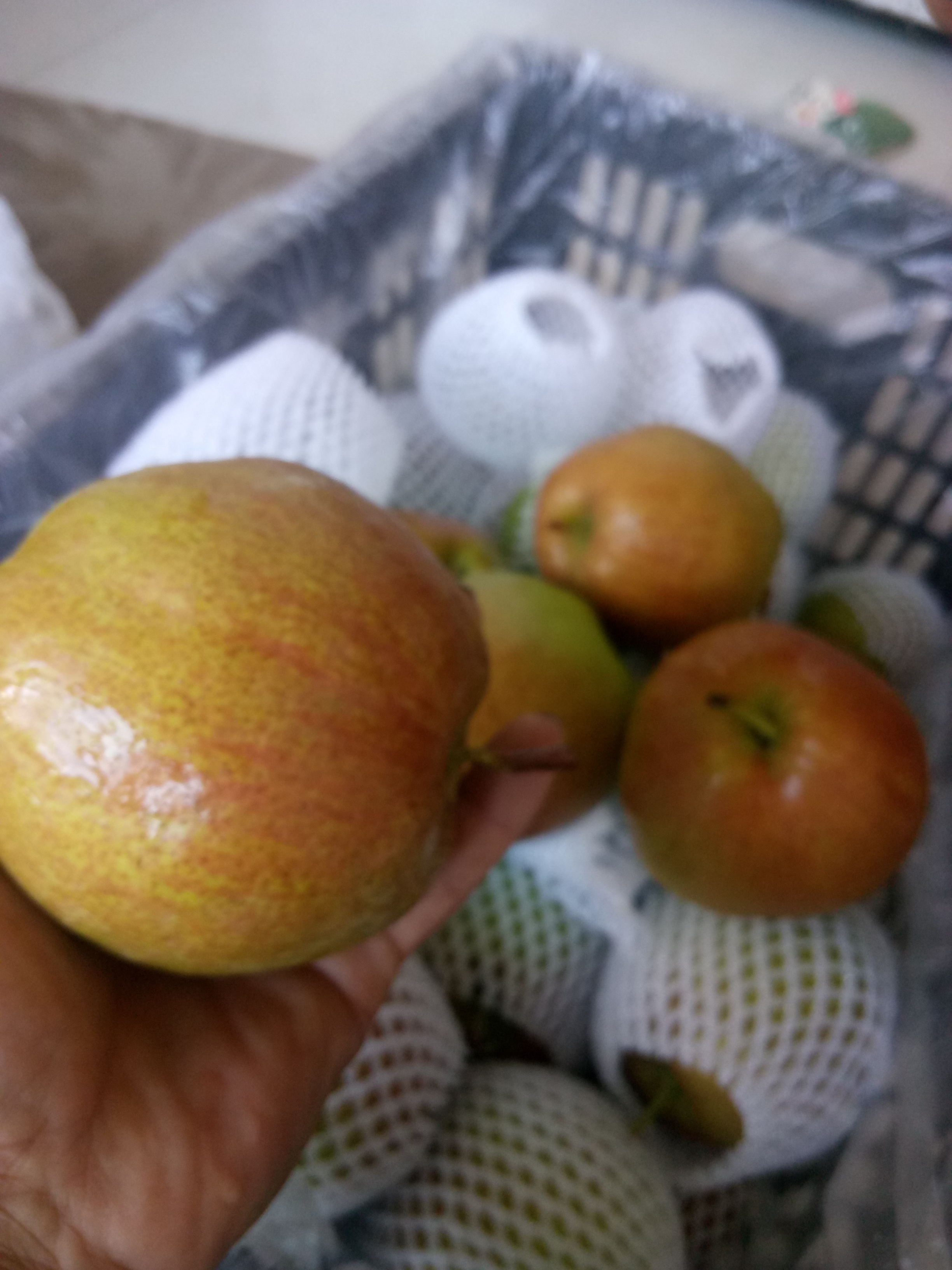 品種 紅考蜜斯梨苗 豐產(chǎn)性強(qiáng)推薦