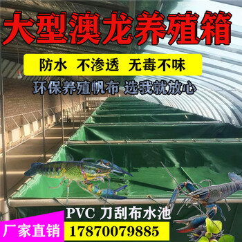 大型养殖帆布水池加厚新款PVC刀刮布定做澳龙养殖箱水池防水篷布