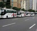 深圳37座大巴车租赁公司大巴车