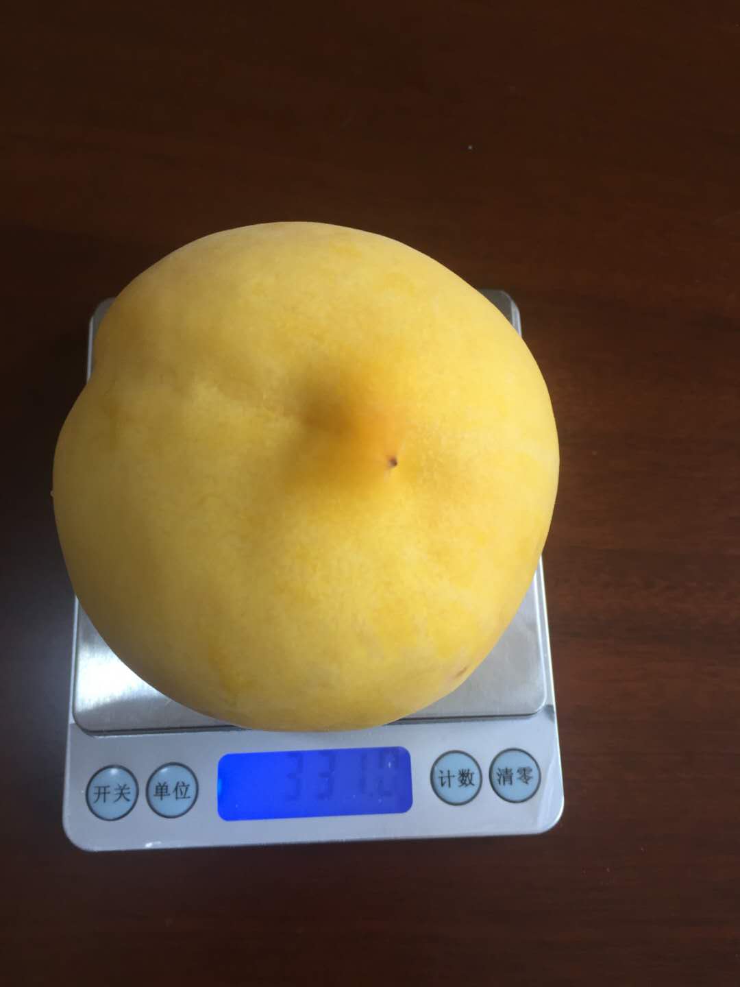 重慶南川黃桃果苗,黃桃果苗廠家批發,桃樹苗高產管理