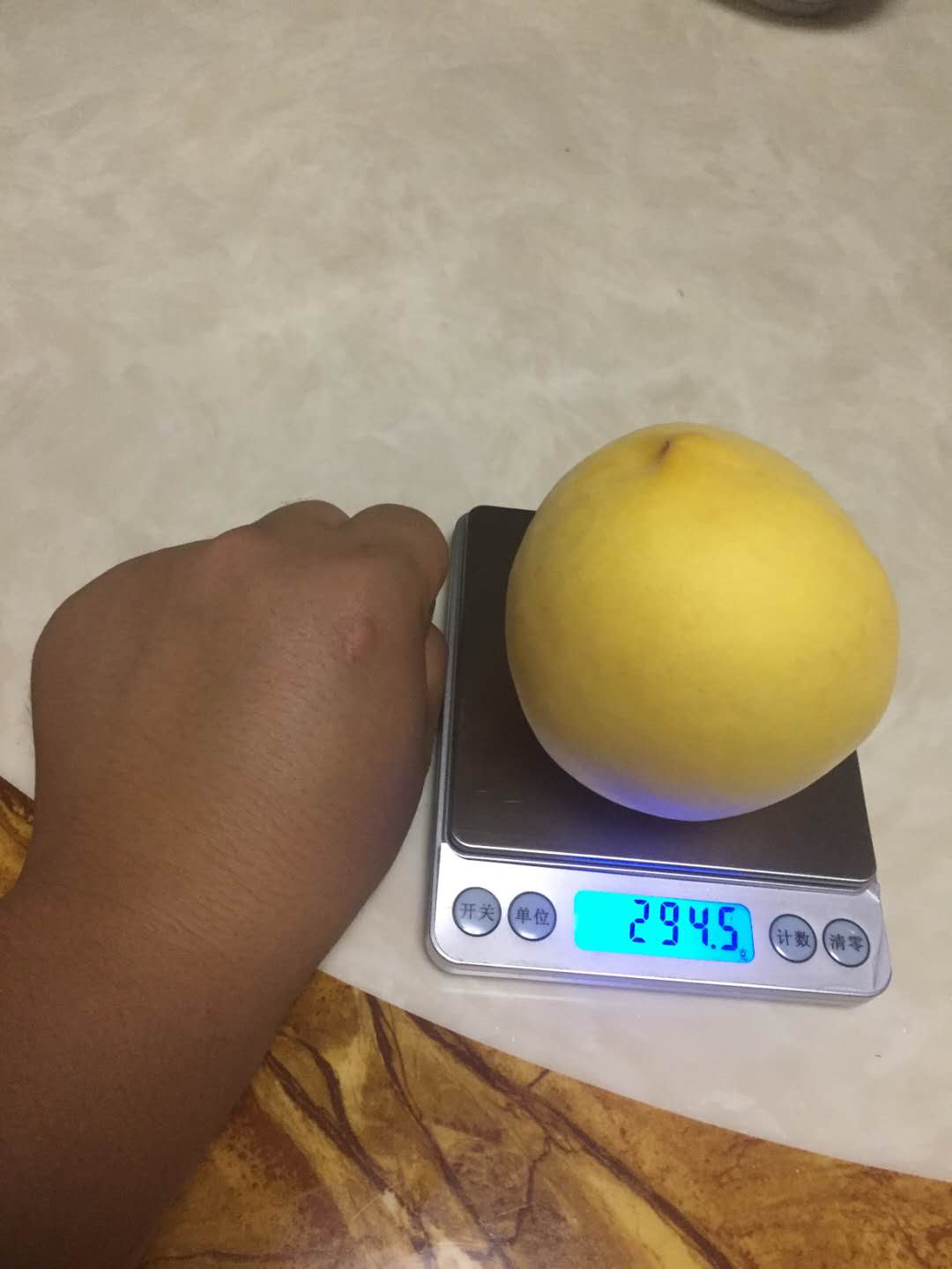 綿陽黃桃果苗_肉質金黃綿陽桃樹苗_成熟早的桃樹苗