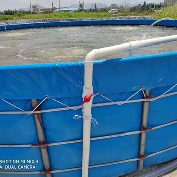 帆布养殖水池+镀锌板支架鱼马桶一站式批发