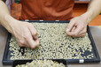 日本sagawa实验用带风选功能的大豆单株脱粒机S̶ⅢR