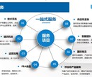 亚马逊关键词上首页跨境外贸目前处于红利期跨境电商未来趋势