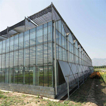 智能玻璃温室建设新型纹络大棚价格文洛式大棚厂家旭航温室
