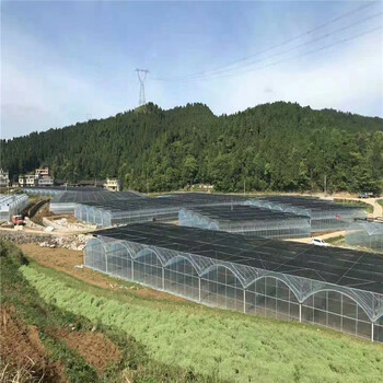 农业种植大棚青岛智能连栋温室建设镀锌钢架蔬菜大棚价格旭航温室