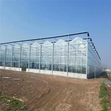 玻璃温室承建中型组合式温室智能温室大棚公司辉腾温室