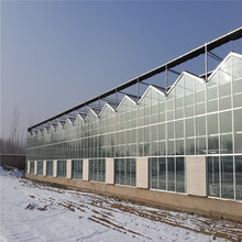 玻璃温室大棚造价玻璃温室搭建玻璃温室大棚建造辉腾温室