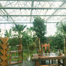 青岛市温室大棚生态大棚生态餐厅温室建设辉腾温室