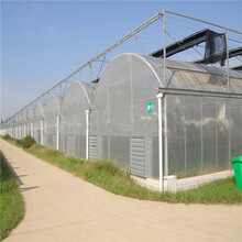 青岛蔬菜温室蔬菜大棚设计温室大棚建筑公司辉腾温室