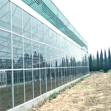 花卉大棚玻璃温室公司大棚制造生产企业辉腾温室