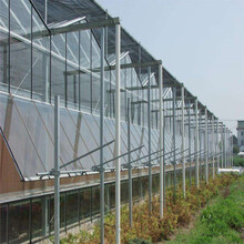 玻璃温室建造玻璃温室厂家玻璃温室报价辉腾温室