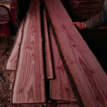 香椿木红椿木板材
