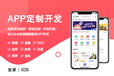 APP开发软件开发APP定制公司成都蓝色风暴