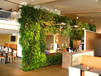 绿化墙植物墙多少钱一平米