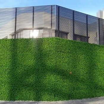 安徽六安仿真植物墙厂家