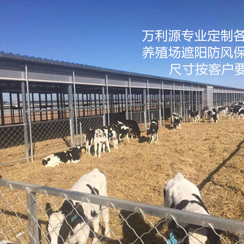 定做猪舍牛场卷帘布冬天防寒保温养殖场卷帘布