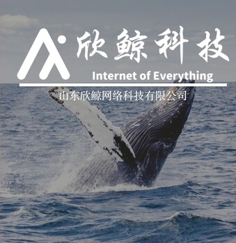 山东欣鲸网络科技