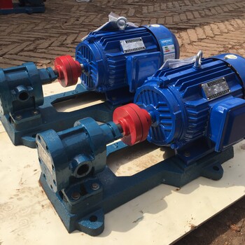 2CY齿轮泵增压泵输送泵皂液泵生产厂家