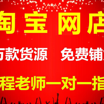 新手开淘宝网店全程一对一指导，单类目精细化运营操作简单包教会