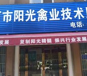 海兰褐蛋鸡养殖管理中慢瘦得了滑液囊支原体怎么办