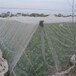 防虫网库存十足直销蔬菜种植基地全新料抗老化多宽幅