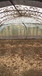 厂家专业生产蝗虫蚂蚱养殖拱形棚25目加厚网片防腐蚀