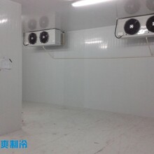 重庆冷冻冷库工程设计安装