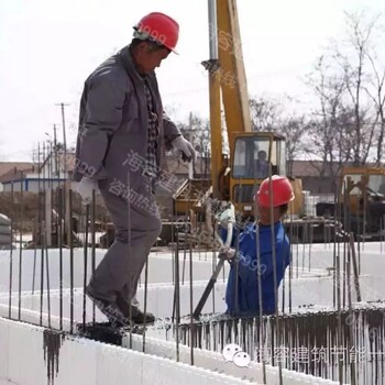 惠州农村自建房不用砖很任性