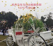 杭州婚庆马车租赁婚庆马车出租