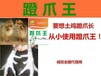 让鸡后蹬子快速生长产品，省钱安全无抗口感好用产品？