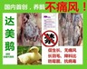 专业省料/防痛风/长毛/防霉菌/降料比/防啄羽省料