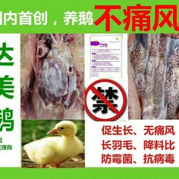 快速防治鹅/防痛风/长毛/防霉菌/降料比/抗病毒