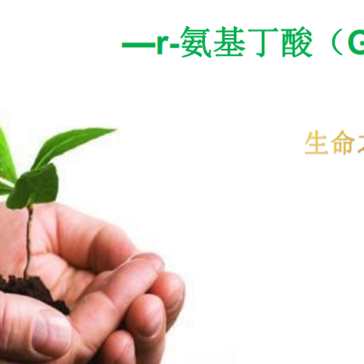 郑州肥料用Y氨基丁酸价格