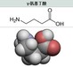 赣州饲料用Y氨基丁酸