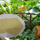 乌鲁木齐农用多肽酶解氨基酸厂家价格产品图