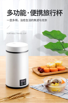 便攜式電熱水壺旅行出差電熱杯電燉盅燒水杯迷你保溫杯禮品