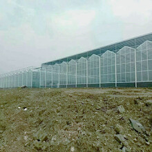 上海文洛式玻璃温室、蚌埠钢管大棚厂、联栋阳光板温室