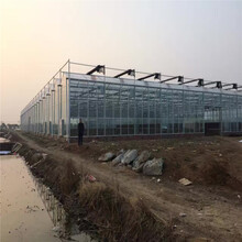 科研温室设计、湖南新型智能温室、文洛型玻璃温室建造