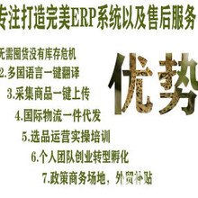 跨境电商亚马逊全球开店，人人可做，亚马逊ERP系统贴牌定制代理