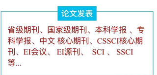 公共卫生与预防医学类大学教师发表EI会议包写包检索，2020年见刊图片0