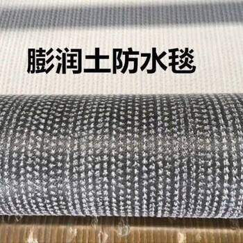 国标钠基防水毯生产