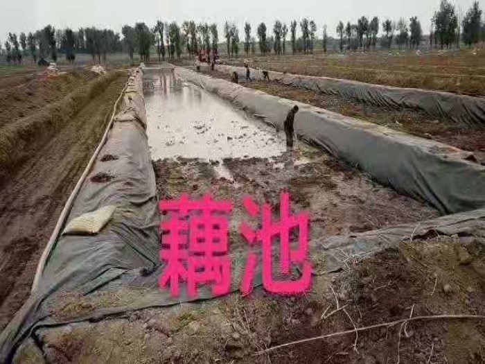 公路用hdpe土工膜一平米价格