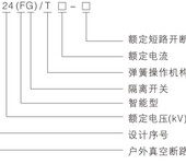 ZW32-24FG户外高压真空断路器630A带隔离看门狗柱上开关高压电器