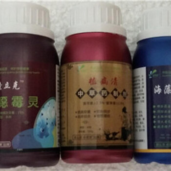 太子參黃葉爛根全根腐爛治療用什么藥