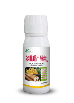 湖南省种植桑寄生提高产量质量高产就用多肽增产酵素