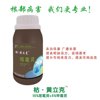 中藥材種植根腐病得治療方案都有哪些麥冬根腐病治療